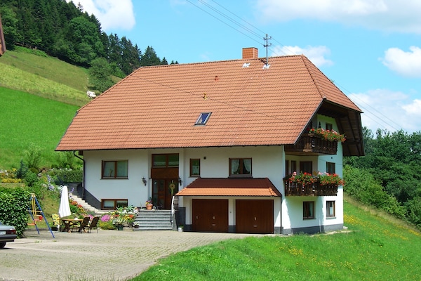 Modern appartement Salmensbach in het rustige Hofstetten - thumbnail 1