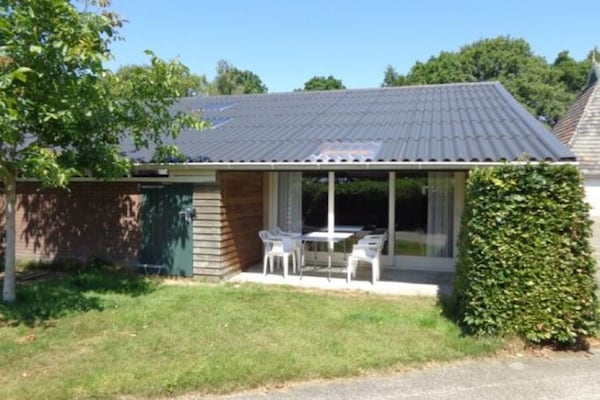 Singelhoeve: knus appartement in voormalige stal bij Fochteloërveen - thumbnail 1