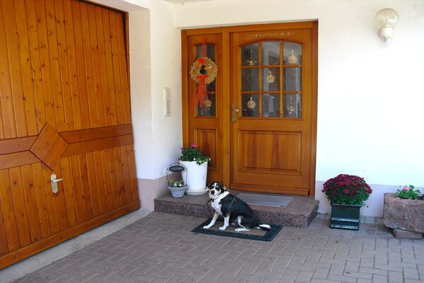 Rustig appartement op boerderij in het Zwarte Woud met uitzicht en tuin - thumbnail 5