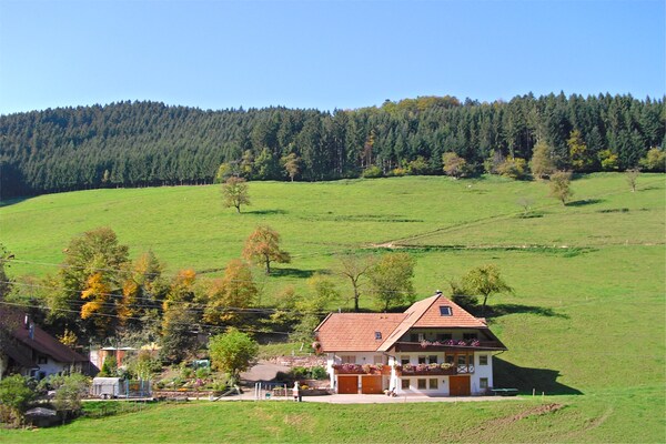 Am Stulzenhof: Authentiek appartement in het Zwarte Woud met panoramisch uitzicht - thumbnail 5