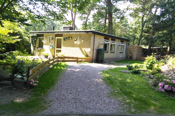 Bunderbos: Knus vakantiehuis in het bos bij Ommen, 4 pers. - thumbnail 6