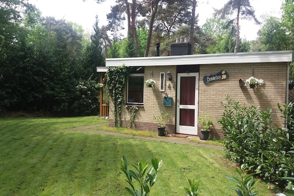Bunderbos: Knus vakantiehuis in het bos bij Ommen, 4 pers. - thumbnail 5