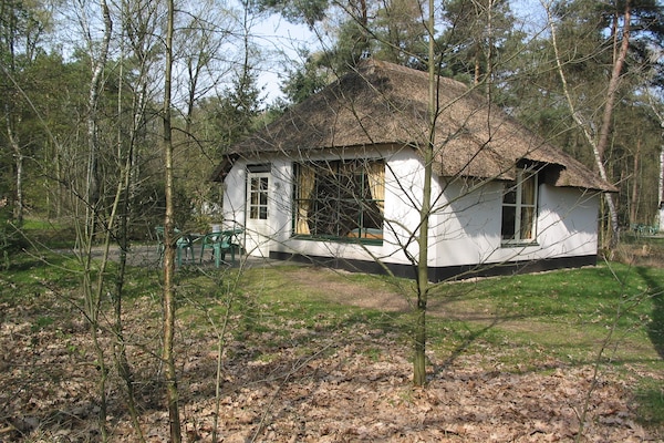 Knusse boshut voor 4 personen op Vakantiepark Herperduin - thumbnail 2