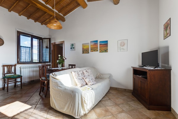 Romantisch boerderij-appartement in de Toscaanse heuvels bij Buonconvento - thumbnail 3