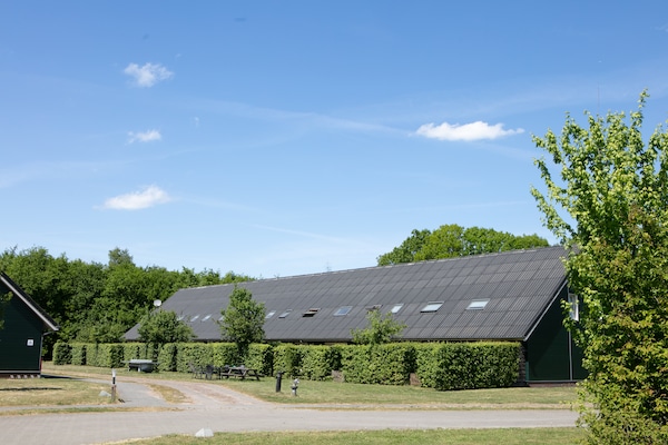 Comfortabel vakantiehuis voor 6 personen in bosrijk Overijssel, honden welkom - thumbnail 6