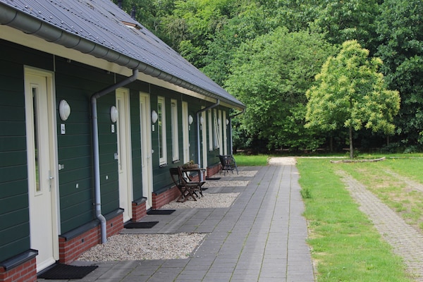 Luxe boshuis voor 6 personen in Vakantiepark Horsetellerie 4, Hardenberg - thumbnail 6