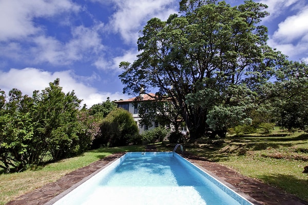 Landelijke villa met gedeeld zwembad nabij de golfbaan in Santo da Serra - thumbnail 4