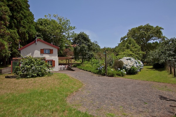 Vrijstaande cottage aan de golfbaan met zwembad en bergzicht in Santo da Serra - thumbnail 6