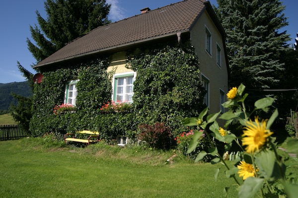 Rustiek vrijstaand vakantiehuis in Scheifling met grote tuin, hond toegestaan - thumbnail 1