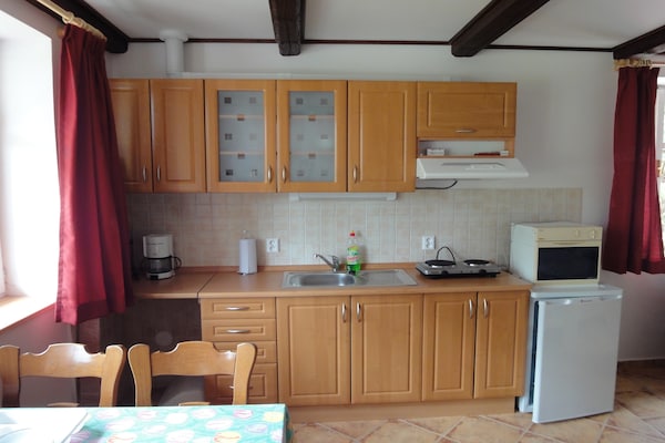 Vrijstaand vakantiehuis Huis Javornik voor 10 personen in de Tsjechische bergen - thumbnail 4