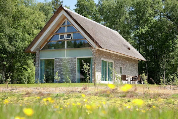 Wellnessvilla voor 8 personen in Drents natuurgebied bij Ruinen - thumbnail 2