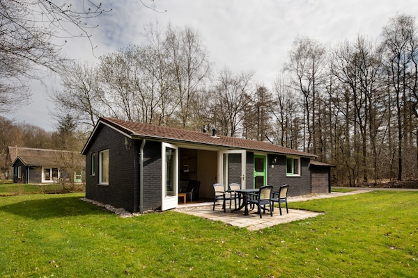 Vrijstaande bungalow in Nationaal Park Dwingelderveld, hondvriendelijk - thumbnail 1