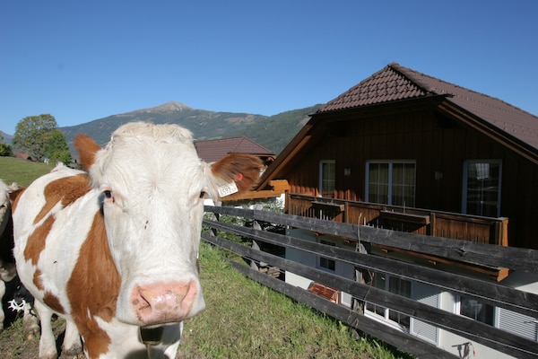 Chalet Hutberg in Austria - a perfect villa in Austria?