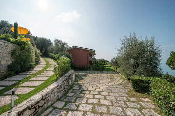 Grazia Grazia