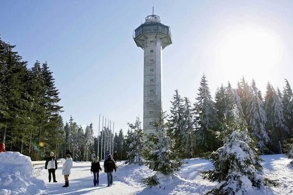 Ruim vakantiehuis voor 13 personen in Diemelsee-Stormbruch - thumbnail 6