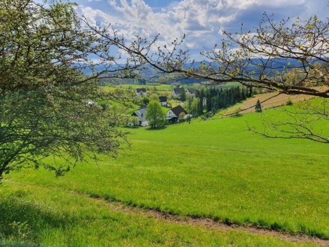 Ferienwohnung Silbecke (152539), Attendorn, Sauerland, Nordrhein-Westfalen, Deutschland, Bild 48
