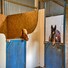 img description