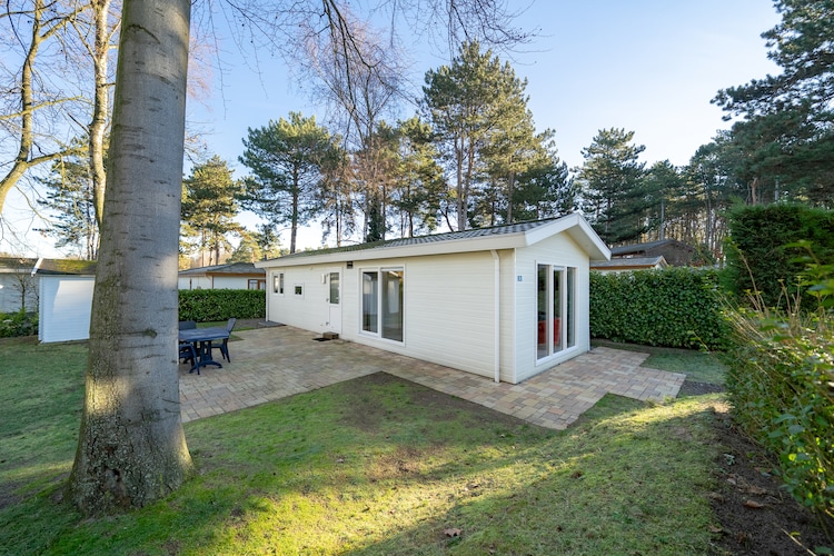 Resort Brunssummerheide 19