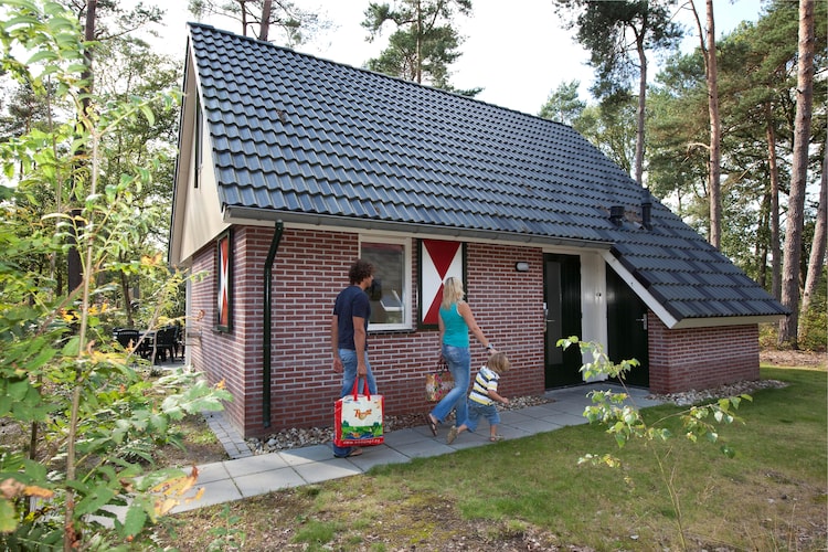 Vakantiehuizen Nederland | Drenthe | Bungalow te huur in Borger met zwembad  met wifi 4 personen