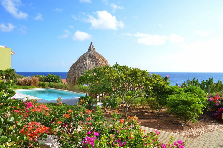 Coral Cay Boca Gentil