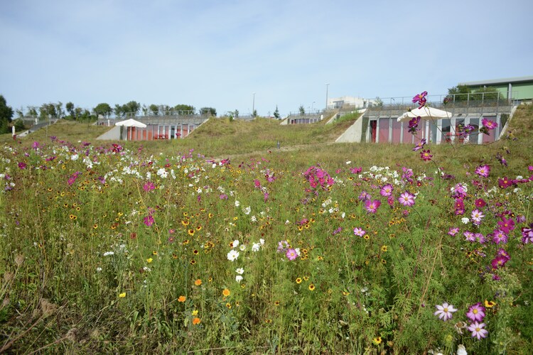 Les Collines de Ste Féréole 2