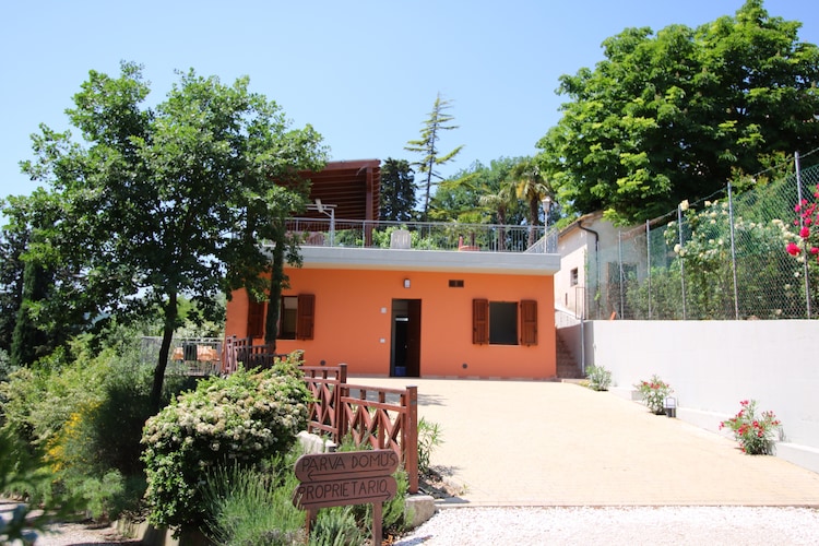 Oleandro