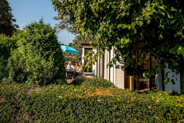 Noordwijkse Duinen 10