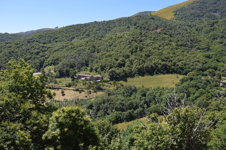 Maison de vacances - Burzet