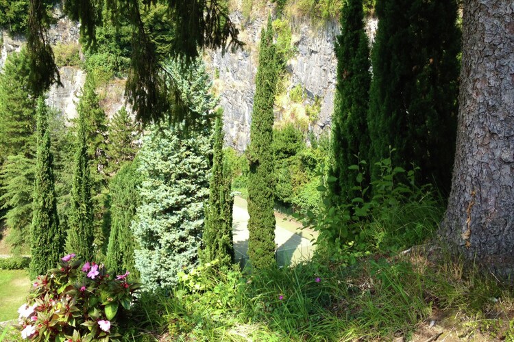 Bild 6 Bild 6