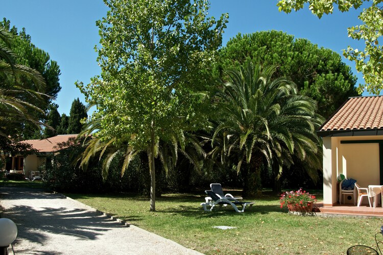 Ghiacci Vecchi 2, foto 14
