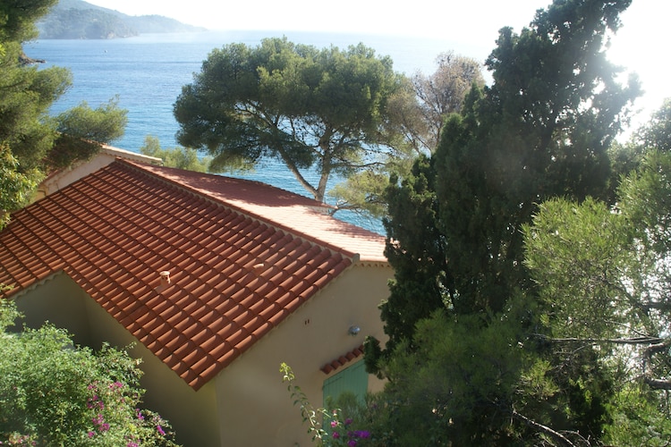 vakantiehuis Frankrijk, Provence-alpes cote d azur, Rayol-Canadel-Sur-Mer vakantiehuis FR-83820-06