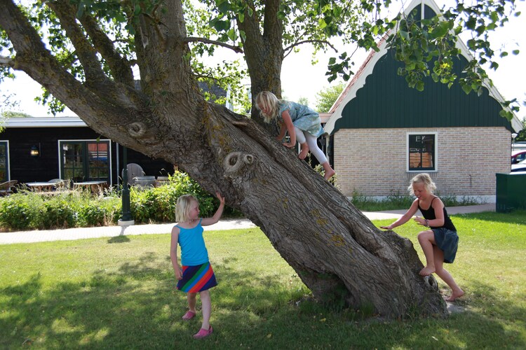 Recreatiepark Wiringherlant - Wiringher Chalet 10