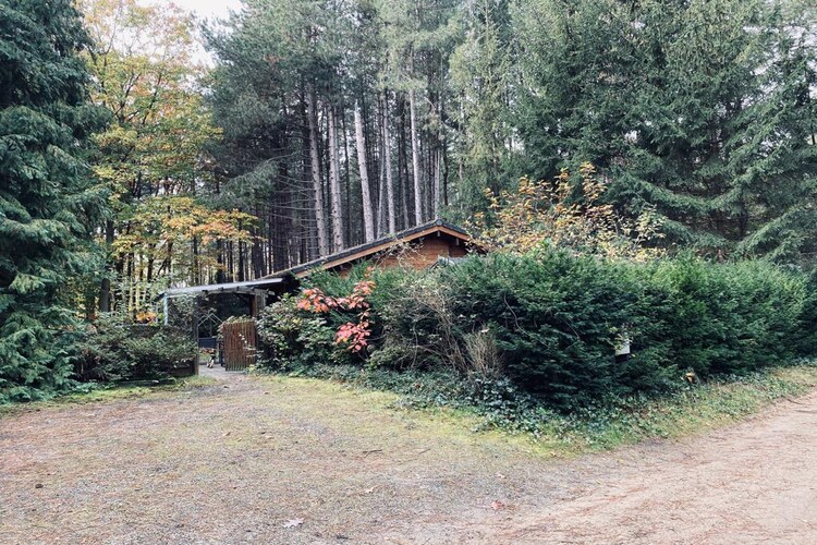Vakantiehuis Nijlen max. 4 personen 5 huisdieren 1 slaapkamer #2