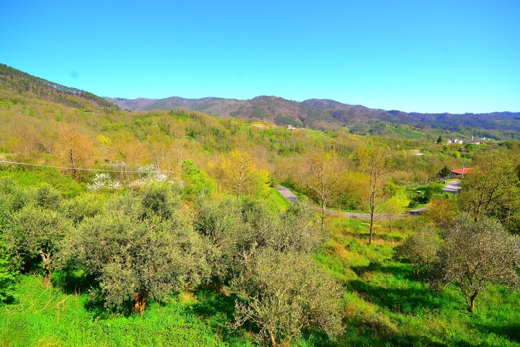 La Crocetta