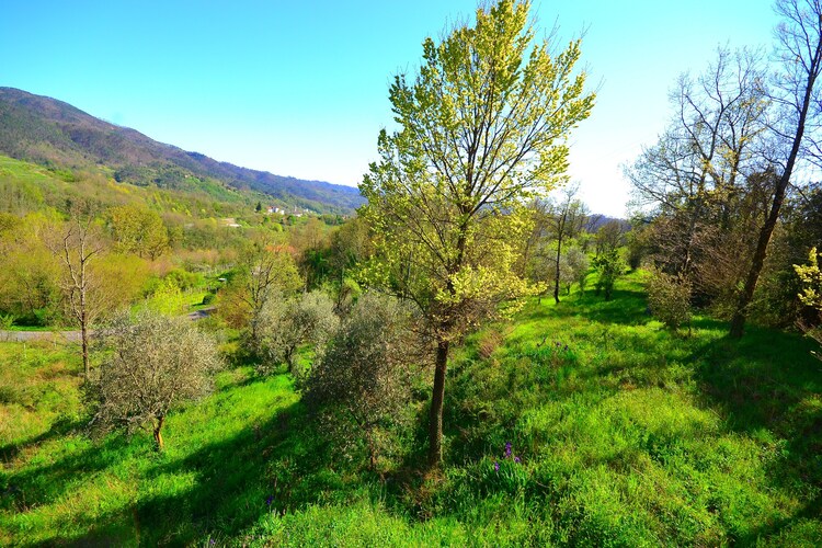 La Crocetta