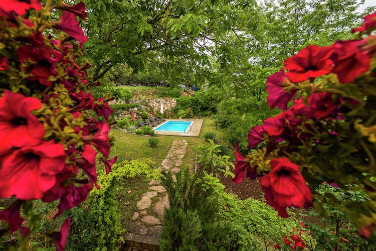 Villa Katarina&Luka with Beautiful Garden and Pool