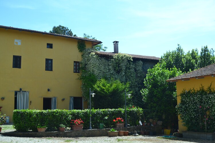 Da Vinci sette