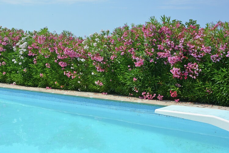 Belle Villa Vue Mer