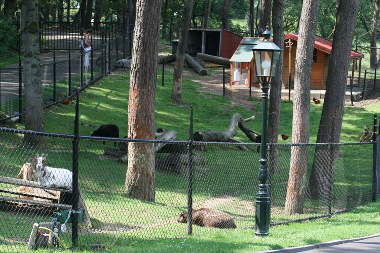 Resort Brunssummerheide 25