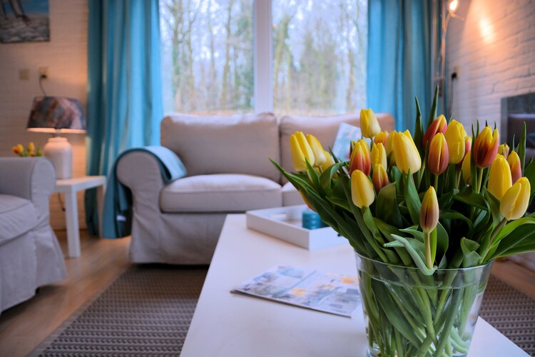 De Tulp