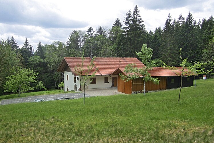 Bild 5 Bild 5