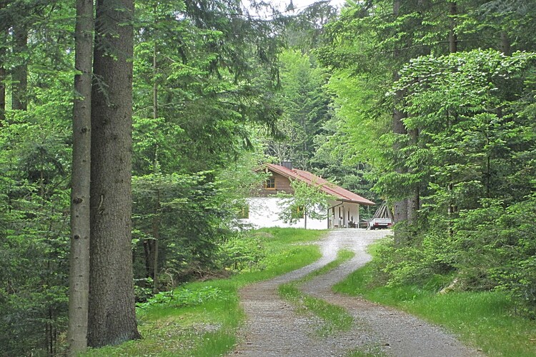Bild 4 Bild 4