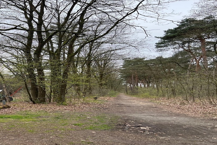 Bungalow 69-Gebieden zomer 1km