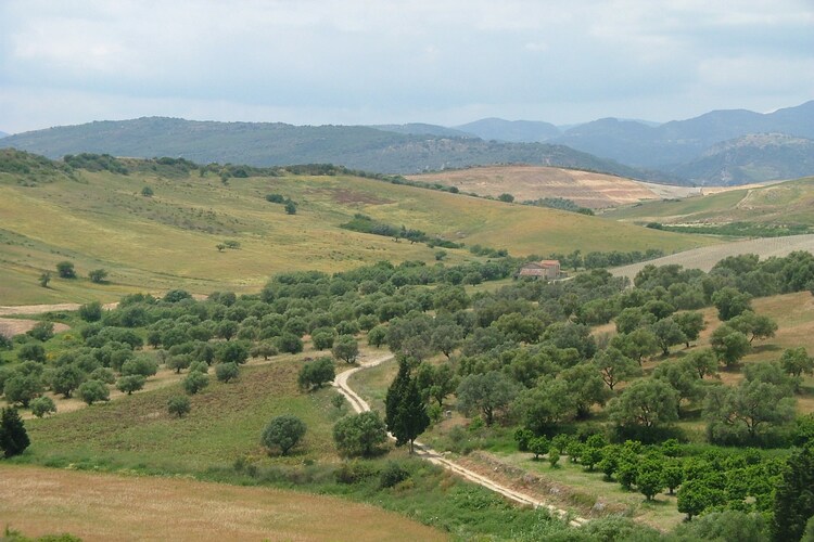 Torre Zunivu