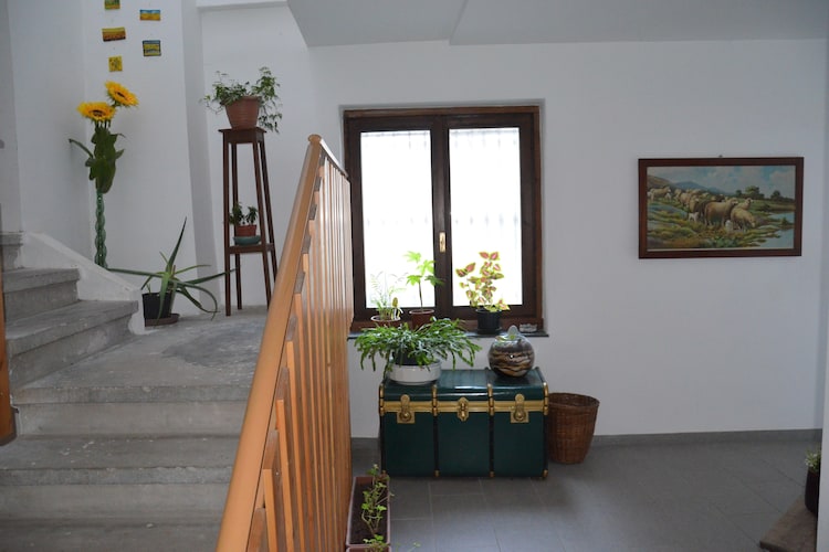 Bild 6 Bild 6