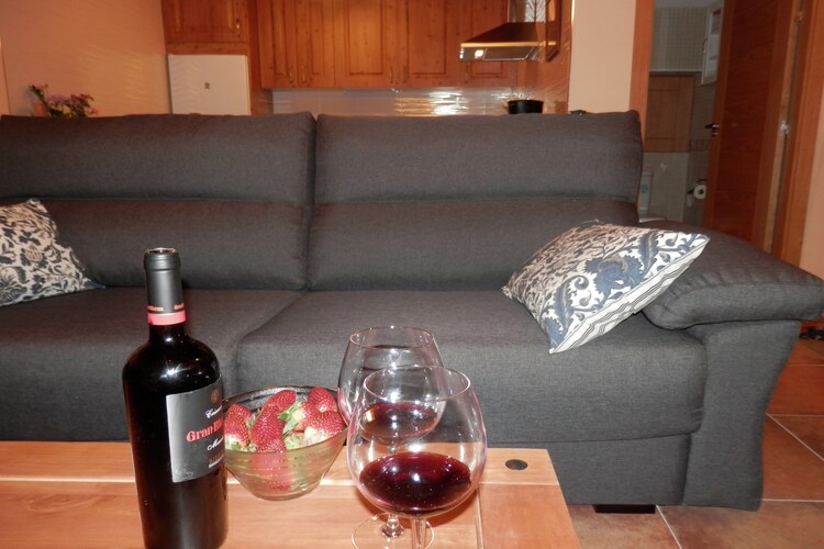 vakantiehuis Spanje, Castilla Y Leon, Bernuy Salinero, Ávila vakantiehuis ES-00028-63
