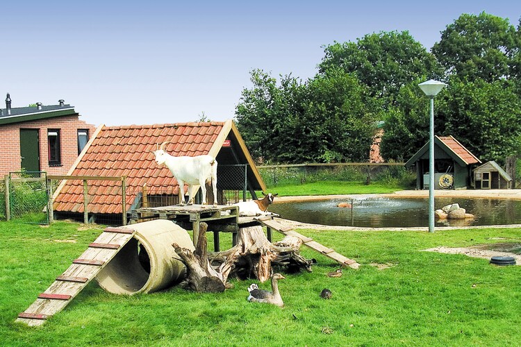 Vakantiepark de Lindenberg 8