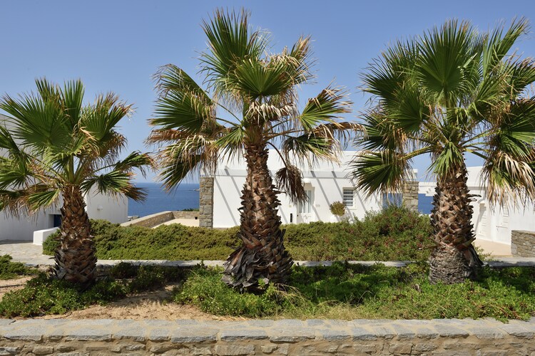 Waterfront Villas Paros Villa Delos