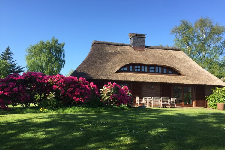 6- Raum- Ferienhaus REETselig am See mit Pool