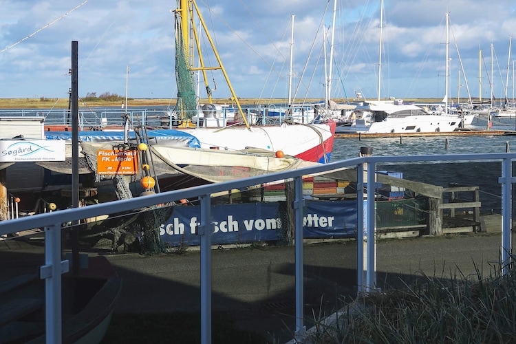 D_MV 2+2*D, foto 4